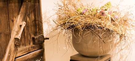 Details Hotel Mohren