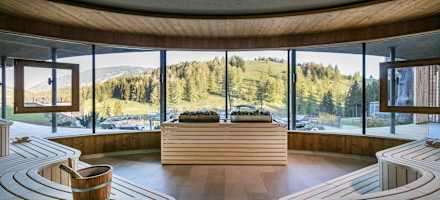Almwellness Hotel Pierer