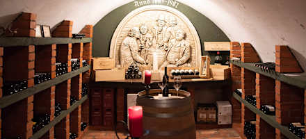 Hotel Unterhof Filzmoos