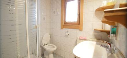 Almdorf-Praebichl-Bad-WC