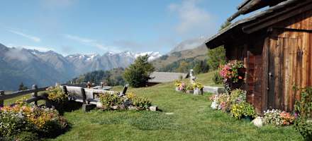 Alpinhotel Jesacherof Outdoor