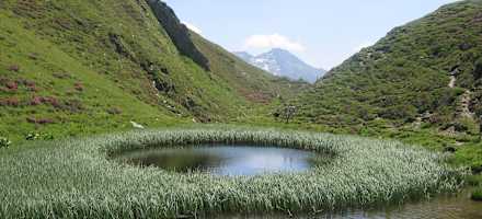 Alpinhotel Jesacherhof Outdoor