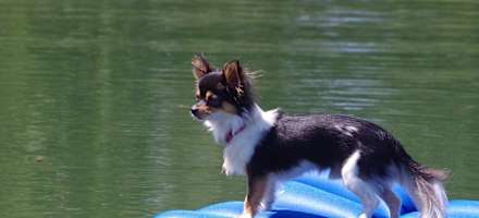 Hotel Berghof Badeteich