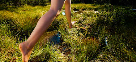 Hotel Berghof Fetz Outdoor