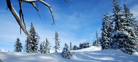 Sport & Vitalhotel Bachmann