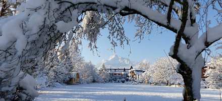 Gasthof Hotel Doktorwirt Aussen Winter