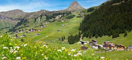 Hotel Alpenblume Outdoor