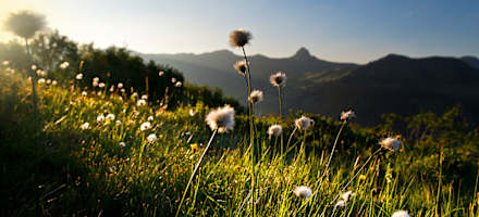 Hotel Alpenblume Outdoor