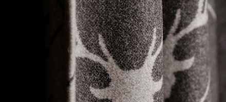 Hotel Ehrwalderhof Hirsch