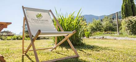 Hotel Frohnatur Garten