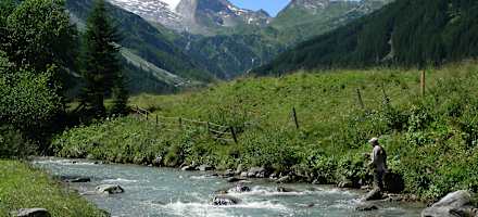 Hotel-Garni-Forelle-Bach