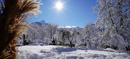 Hotel Pfleger Aussen Winter