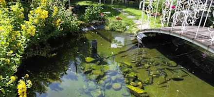 Hotel Waldhof Fischteich