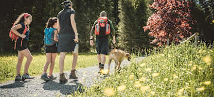 Relais & Chateaux Gut Steinbach Hotel & Chalets