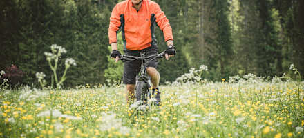 Relais & Chateaux Gut Steinbach Hotel & Chalets