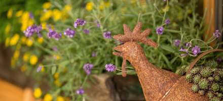 Kirchenwirt_Aussen_1