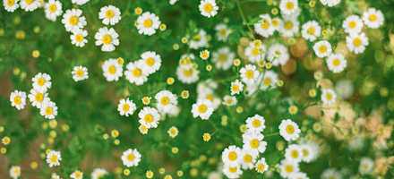 Kirchenwirt_Aussen_4