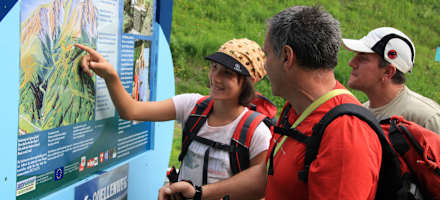 Traditionshotel Krone Outdoor