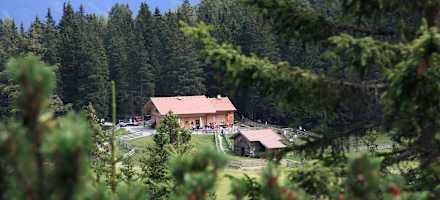 Traditionshotel Krone Outdoor