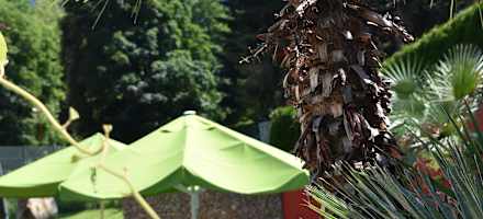 Hotel Vitaler Landauerhof Pool