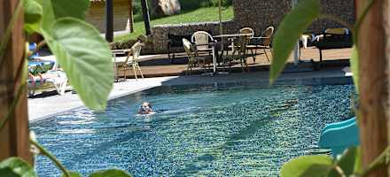 Hotel Vitaler Landauerhof Pool