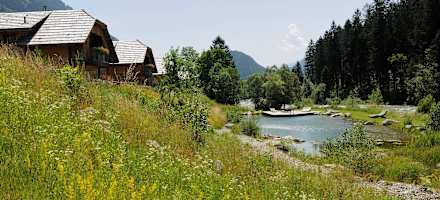 Landgut Moserhof Naturbadeteich