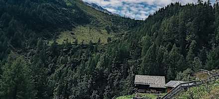 Landgut Moserhof Outdoor