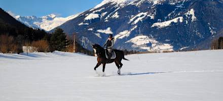 Landgut Moserhof Reiten Winter