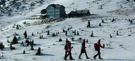 Scharfegger's Raxalpen Resort - Berggasthof