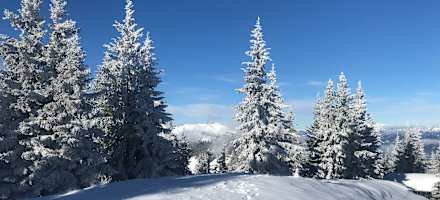 Berggasthof Scharfetter Outdoor