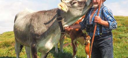 Almi's Berghotel Outdoor