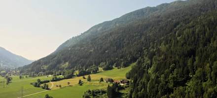 Thurnerhof_Feld