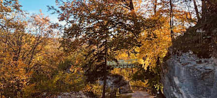 Wanderweg Burg Plankenstein Herbst