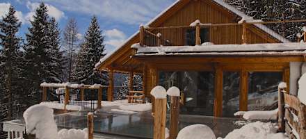 Bienenalm - Waldhaus & Ferienstadl