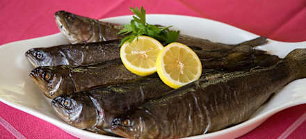 Gasthof Mooshubenwirt