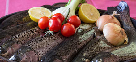 Gasthof Mooshubenwirt