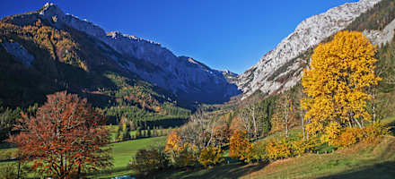 Alpengasthof Schuster