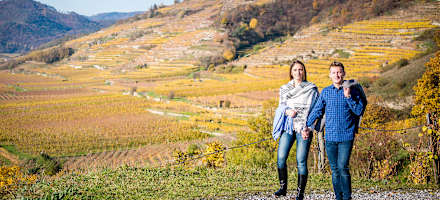Herbstspaziergang in der Wachau