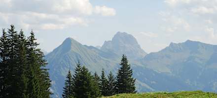 Hirschen Wohlfühlhotel