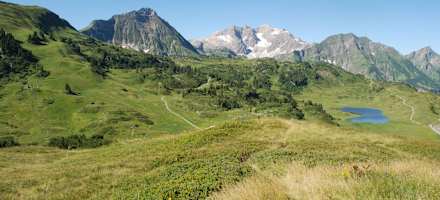 Hirschen Wohlfühlhotel