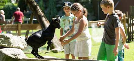 Bliem's Familienhotel