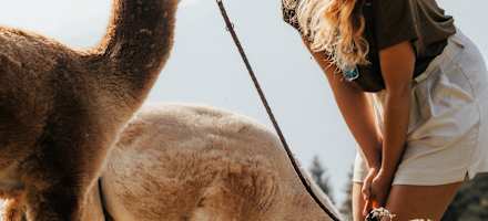 Naturhotel Landhof Irschen