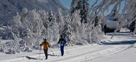Ferienhof Neusacher Moser
