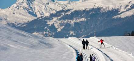 Ferienhof Neusacher Moser