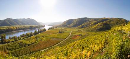 Pfeffel Wachau