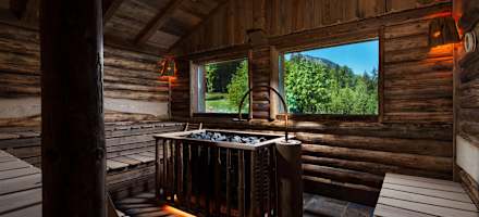 Alm- & Wellnesshotel Alpenhof