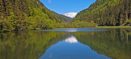 Alpengasthof Schuster