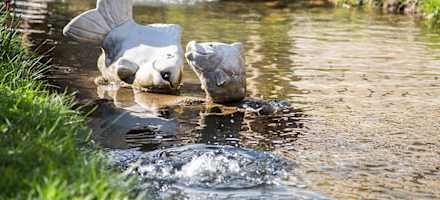 Gasthof Mooshubenwirt