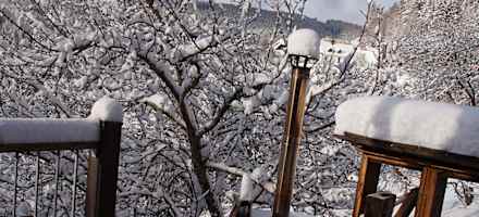 Bienenalm - Waldhaus & Ferienstadl