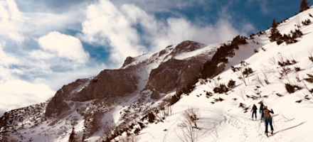 Therapiesalon im Wald